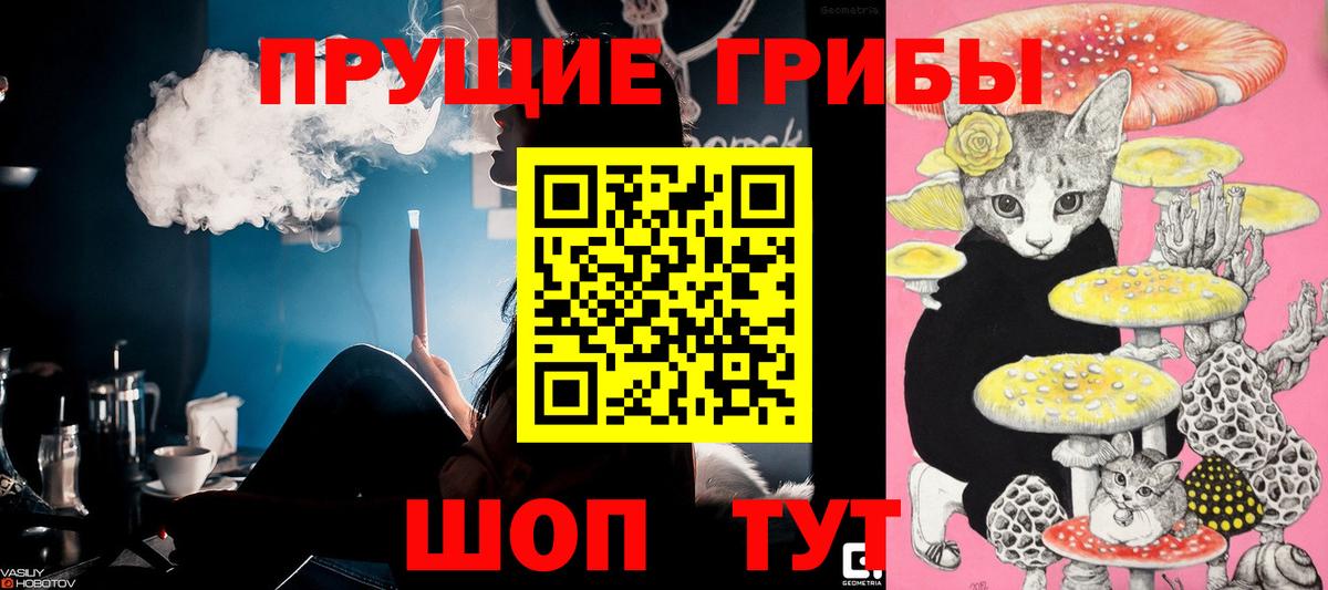 Азов  Псилоцибиновые грибы GOLDEN TEACHER  Вход с VPN  Галлюциногенные грибы Psilocybe 